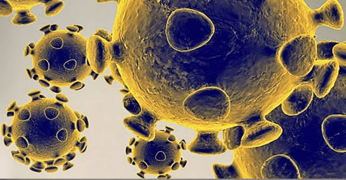 ৪১ দেশে ছড়াচ্ছে করোনার নতুন ধরন