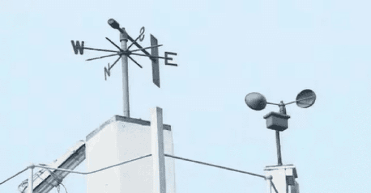 ভোটের দিন যেমন থাকবে আবহাওয়া