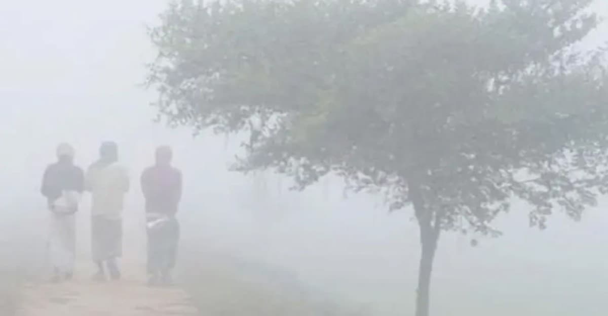 কমবে তাপমাত্রা, শৈত্যপ্রবাহ বৃদ্ধির আভাস