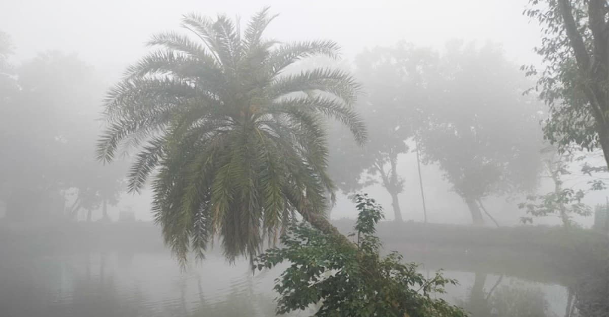 মাঘের শীতে কাঁপছে দেশ, সর্বনিম্ন চুয়াডাঙ্গায় ৬.৬ ডিগ্রি
