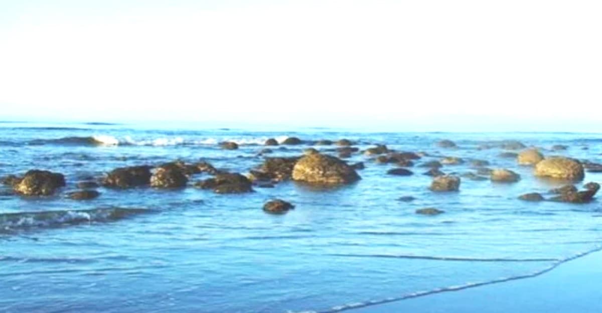 সেন্টমার্টিন ভ্রমণে গিয়ে পর্যটকের মৃত্যু