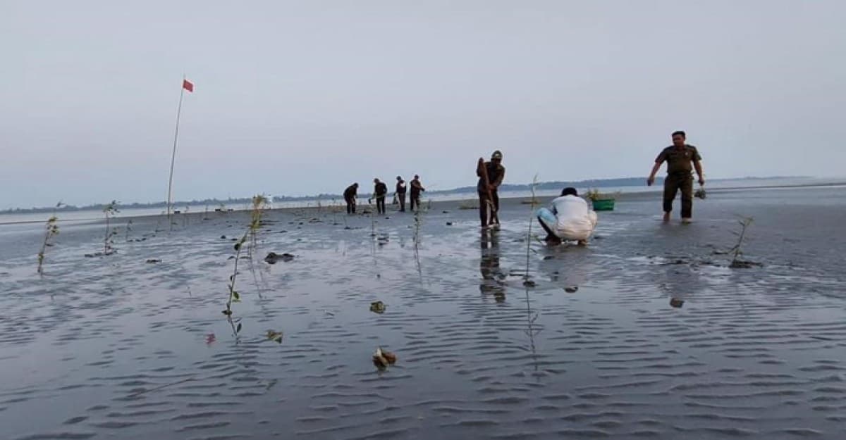 ফিরে পেতে যাচ্ছে কুতুবদিয়া দ্বীপের ভূ-সম্পদ