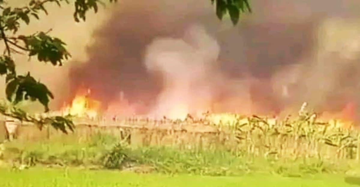 কুষ্টিয়ায় ১০ কি.মি. এলাকা জুড়ে ফসলি জমি, বসত ভিটা পুড়ে ছাই