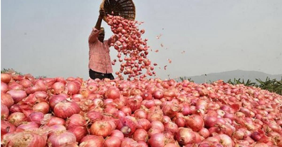 পেঁয়াজ রফতানি অনির্দিষ্টকালের জন্য নিষিদ্ধ করল ভারত