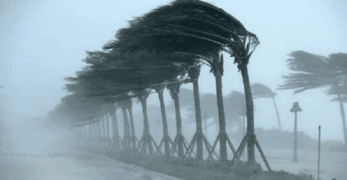 রাত ১টার মধ্যে যেসব জায়গায় ঝড় হতে পারে