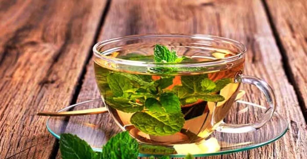 মেদ কমাতে পুদিনা পাতা খাওয়ার নিয়ম