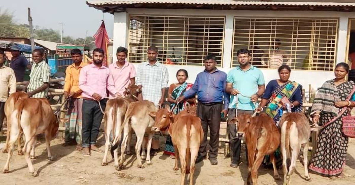 ঘোড়াঘাটে ৭ পরিবারের মাঝে গরু বিতরণ