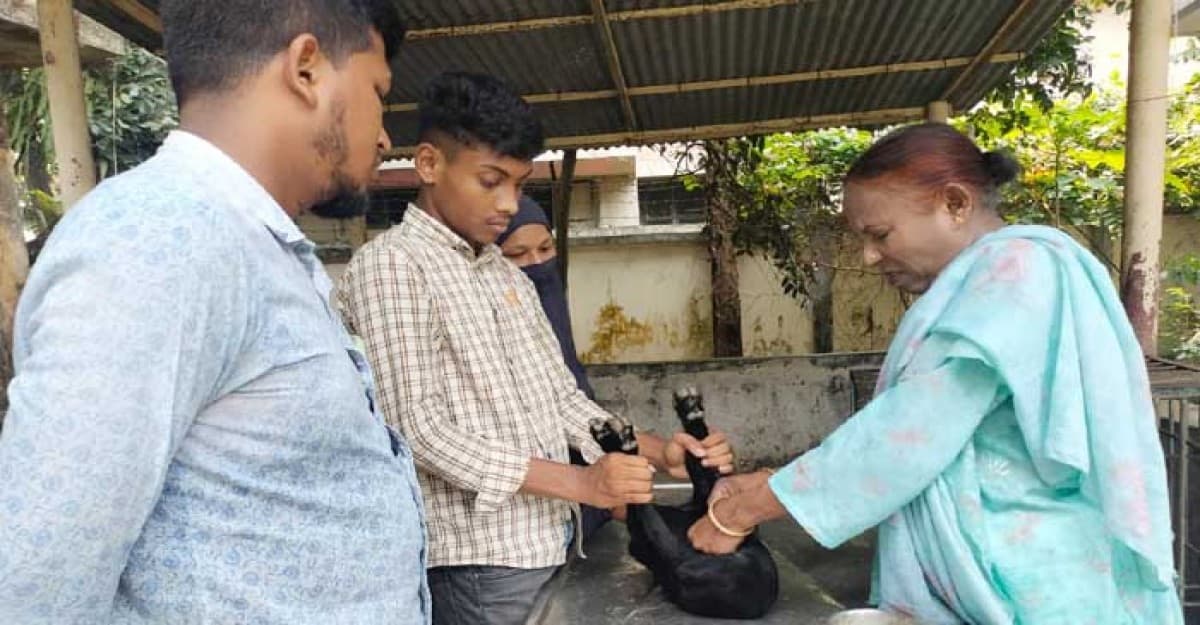 বাকেরগঞ্জে সব প্রাণীর চিকিৎসা দিচ্ছেন কম্পাউন্ডার!