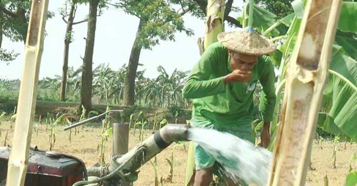 তীব্র তাপদাহে পুড়ছে মেহেরপুর, বিপাকে জনজীবন