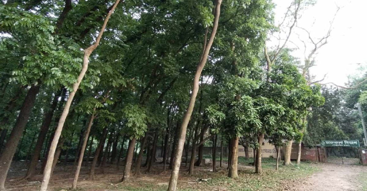 জাবিতে ‘প্রশাসনের গায়ের জোরে’ অপরিকল্পিত নগরায়ন
