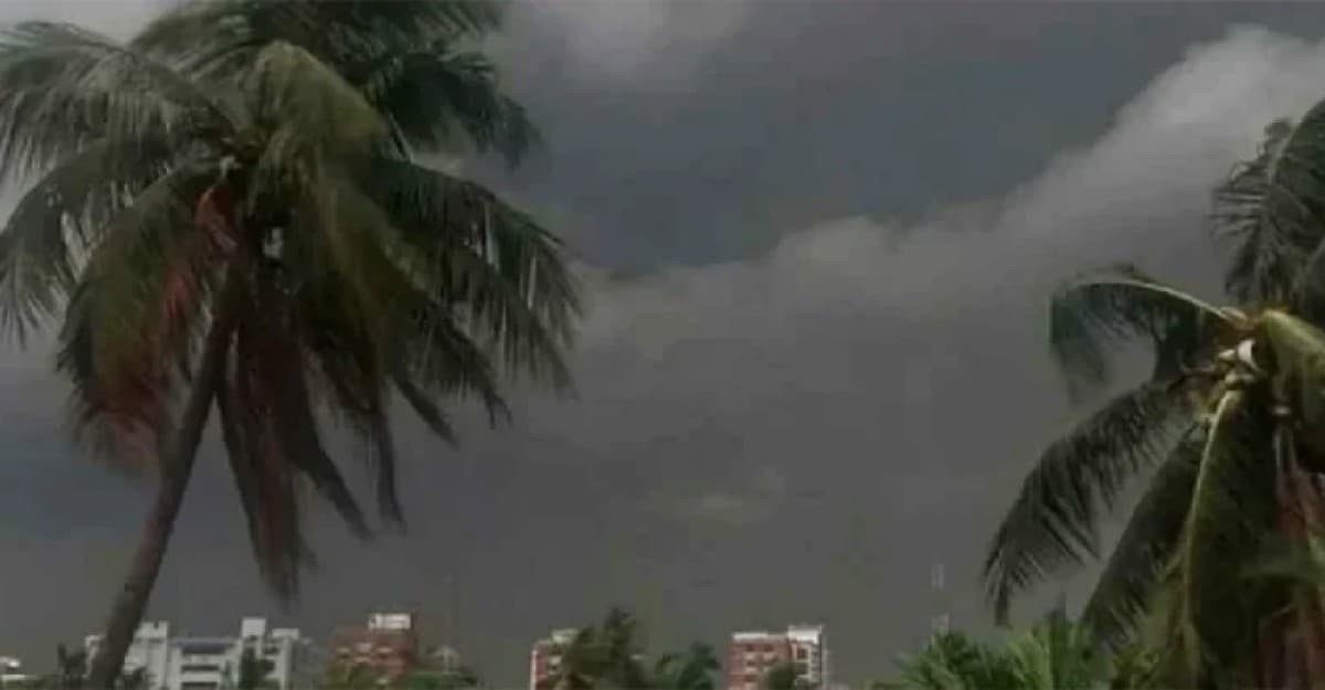 যেসব অঞ্চলে বৃষ্টি হতে পারে