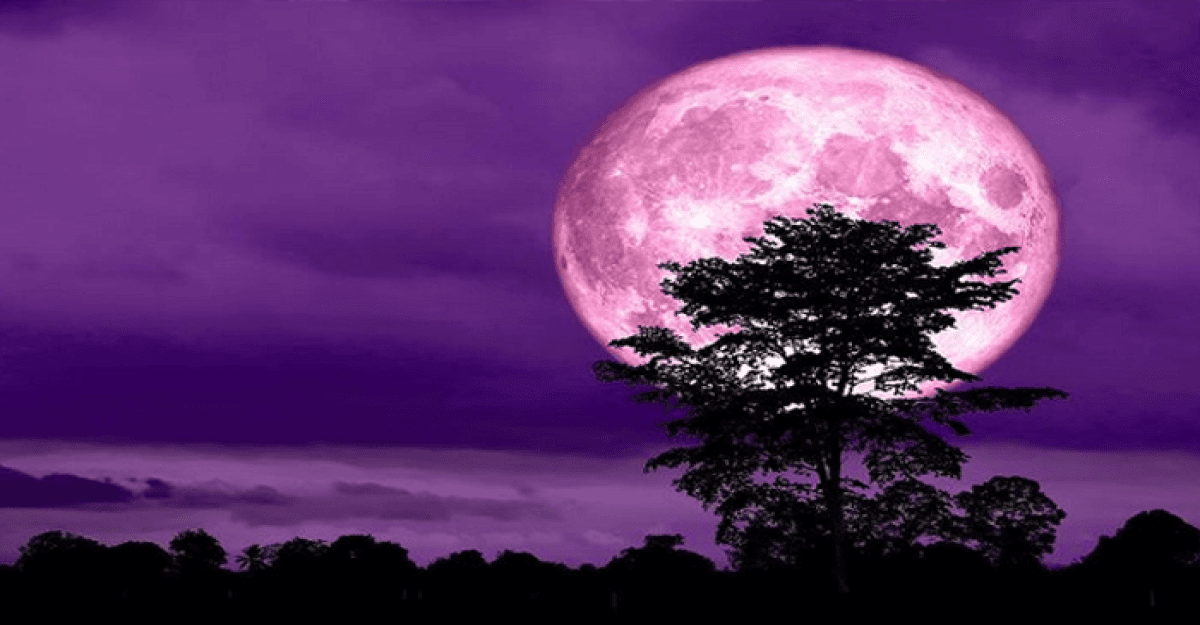 আজ রাতেই দেখা যাবে ‘গোলাপি চাঁদ’