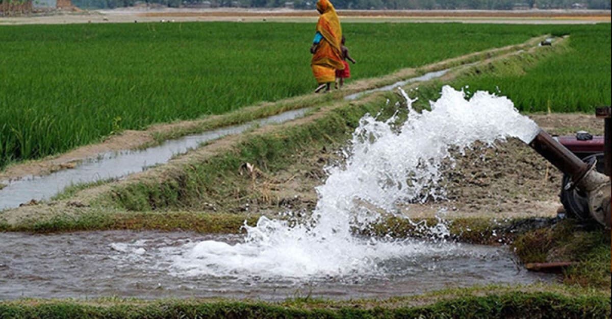 ইবি এলাকায় নদী সেচের মহোৎসব, মাছের বংশ ধ্বংস
