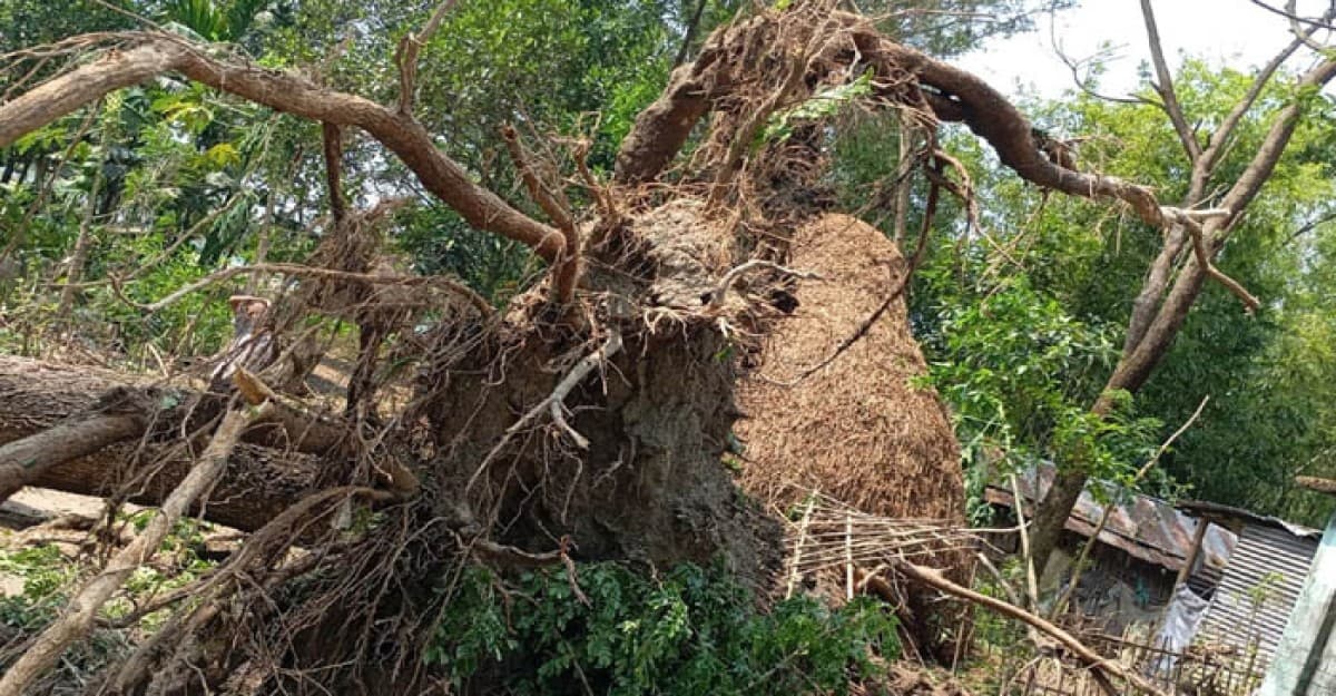 দেশে তীব্র তাপপ্রবাহ: মৌলভীবাজারে কালবৈশাখীর তাণ্ডব ও শিলবৃষ্টি
