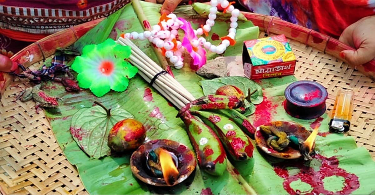 বৃষ্টির আশায় কুড়িগ্রামে ব্যাঙের বিয়ে