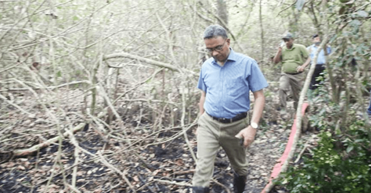 সুন্দরবনের আগুন নিয়ন্ত্রণে, ধোঁয়া দেখলেই পানি স্প্রে