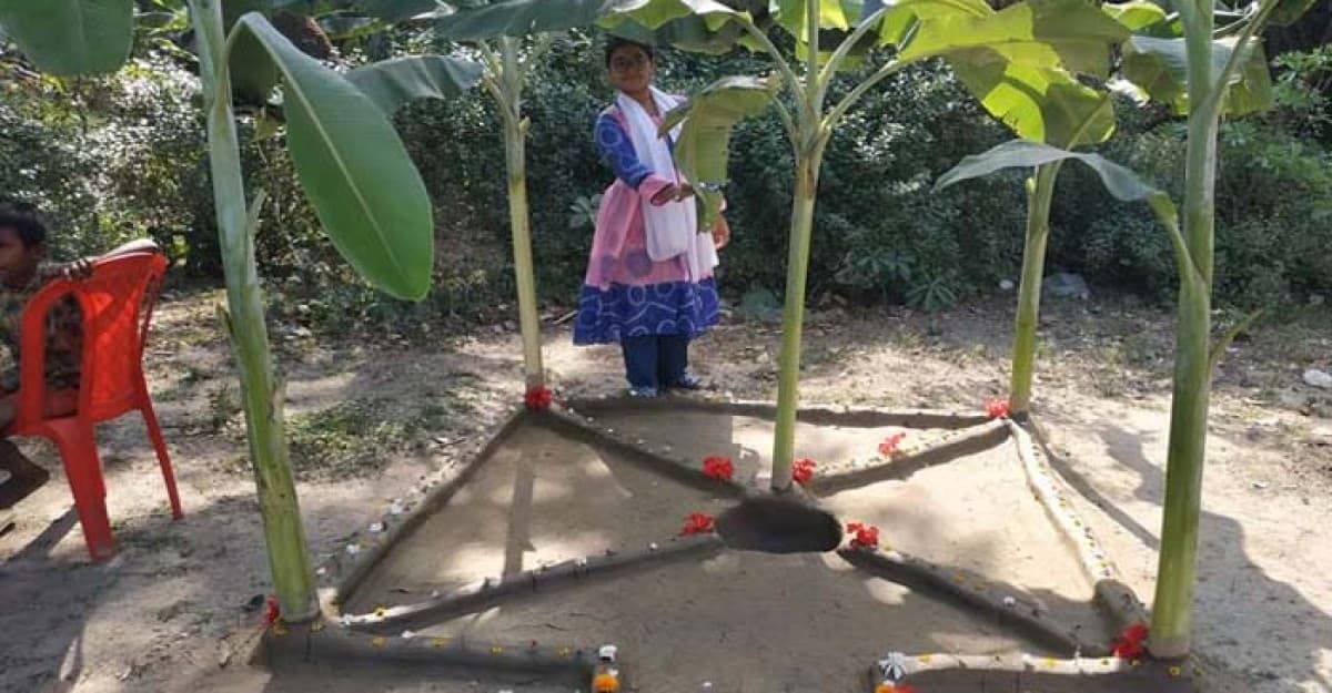 কমিউনিটি সেন্টারে কোটি টাকার কাবিনে ব্যাঙের বিয়ে সম্পন্ন