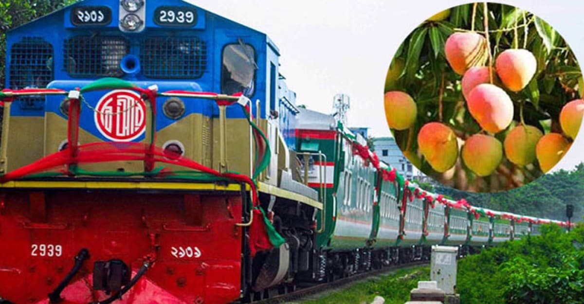 রাজশাহীর আম ঢাকায় আসবে ১ টাকা ৪৩ পয়সায়