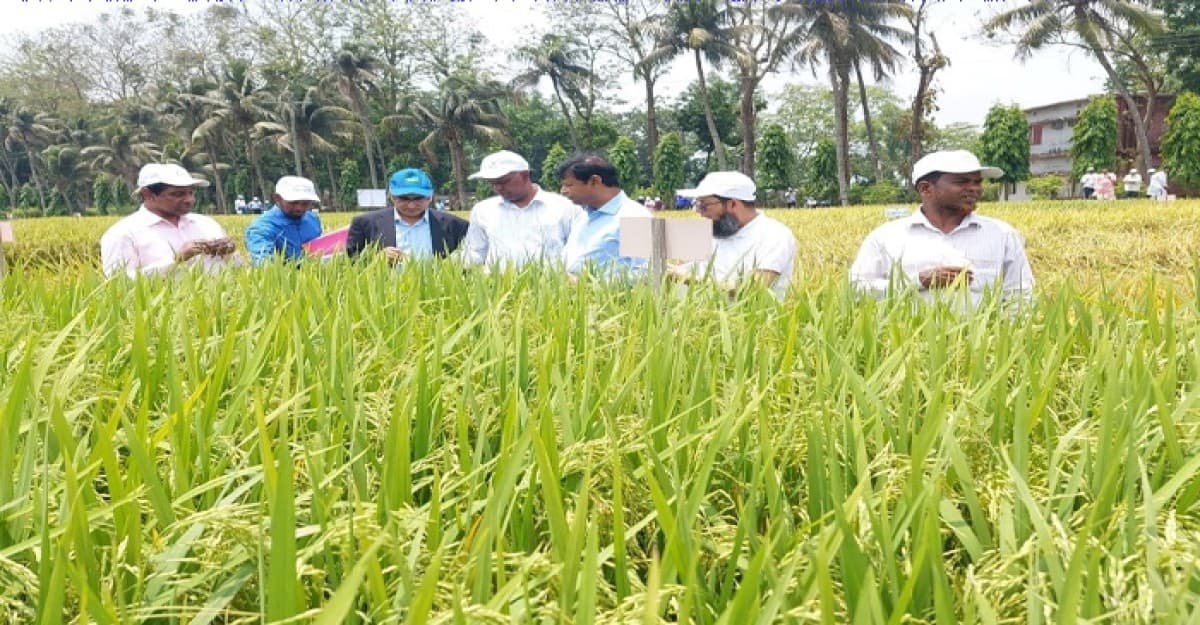 বিএডিসিতে ফসল ক্যাফেটেরিয়া মূল্যায়ন ইভেন্ট অনুষ্ঠিত