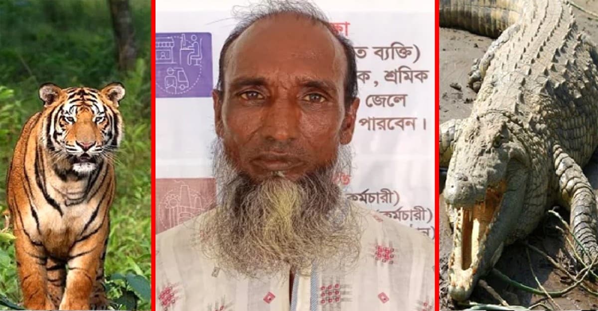 বাঘের পর এবার কুমিরের মুখ থেকে বেঁচে ফিরলেন মৌয়াল কুদ্দুস