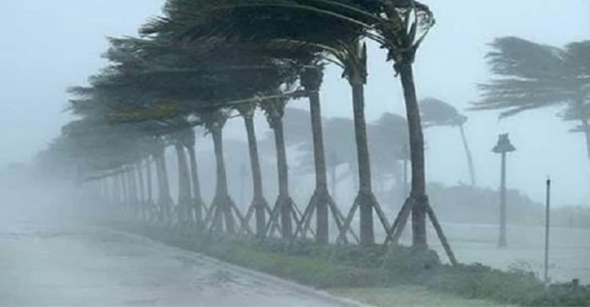 রাত ১টার মধ্যে যেসব জেলায় তীব্র ঝড় হতে পারে