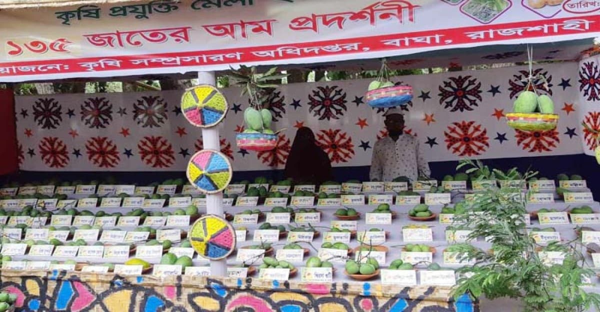 রাজশাহীর কৃষি প্রযুক্তি মেলায় ১৩৫ জাতের আমের প্রদর্শনী