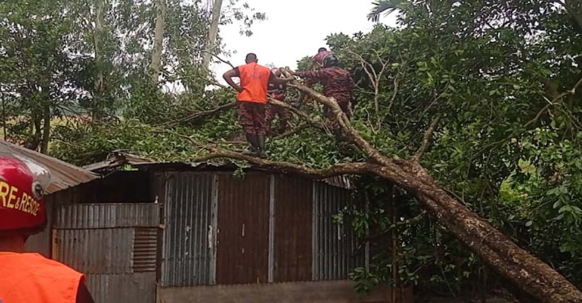 নীলফামারীতে কালবৈশাখীর তাণ্ডবে বাড়িঘর বিধ্বস্ত
