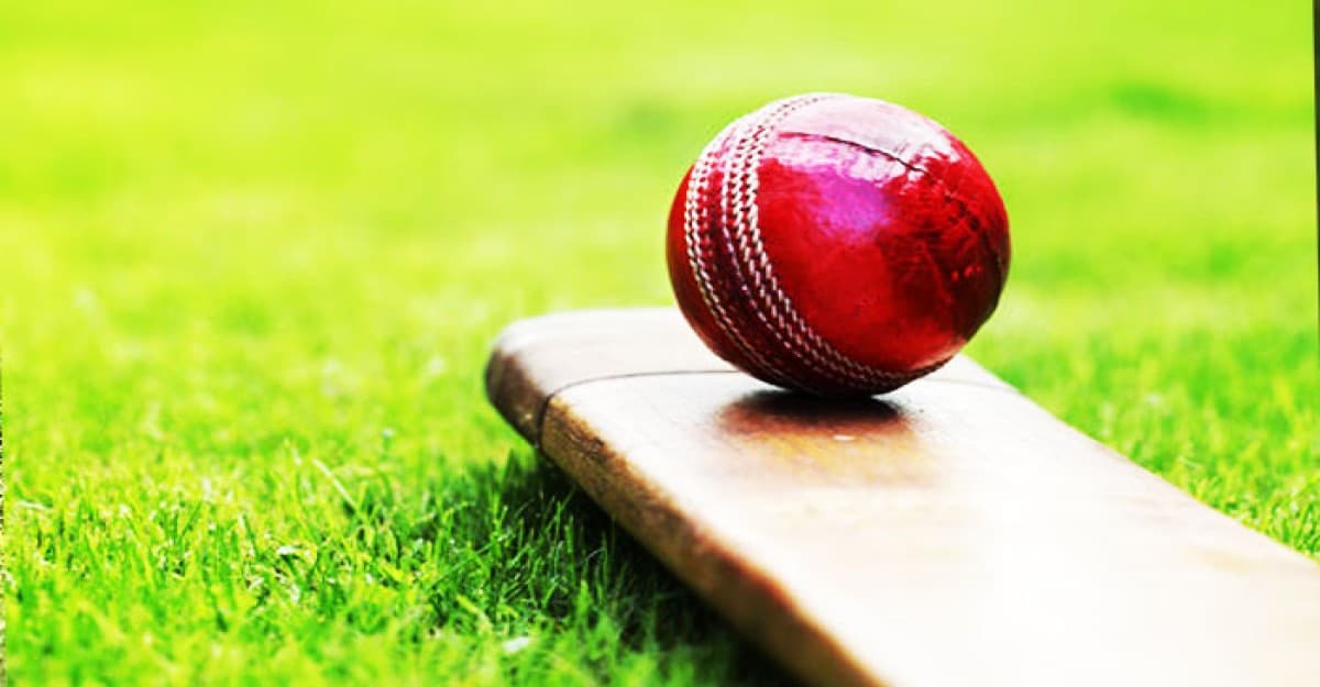 ছক্কা হাঁকিয়ে মাঠেই মৃত্যুর কোলে ঢলে পড়লেন  ক্রিকেটার