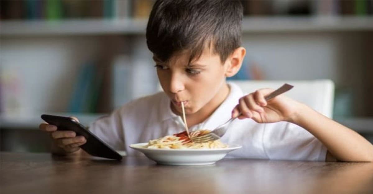 খাওয়ার সময় ফোনের ব্যবহারে ওজন বৃদ্ধি নিয়ে যা বলছে বিশেষজ্ঞরা
