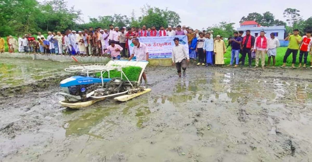 রাইস ট্রান্সপ্লান্টারের মাধ্যমে ধানের চারা রোপণ কর্মসূচি উদ্বোধন