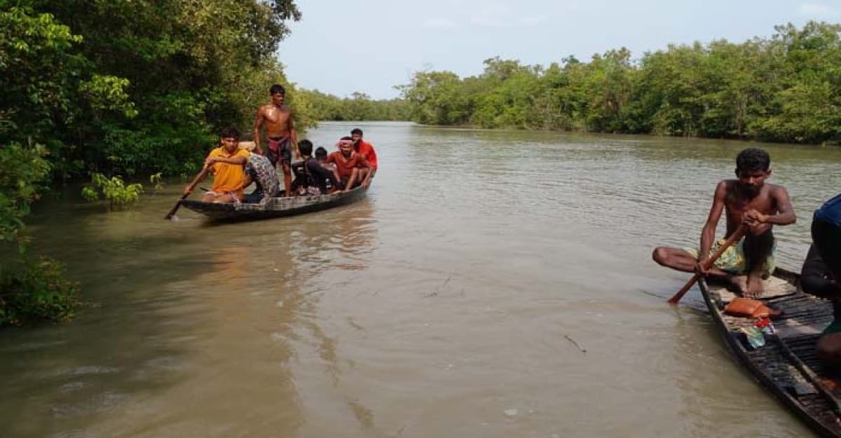 সুন্দরবনে কুমিরের আক্রমণে মৌয়ালের মৃত্যু