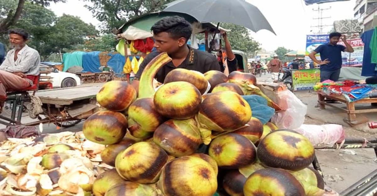 ভ্যাপসা গরমে চাহিদা বেড়েছে তালের শাঁসের
