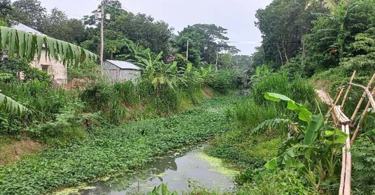 এলজিইডি'র বাস্তবায়নে মুকসুদপুরের বিলচান্দা গ্রামের মানুষ শহরের সুবিধা পাবে