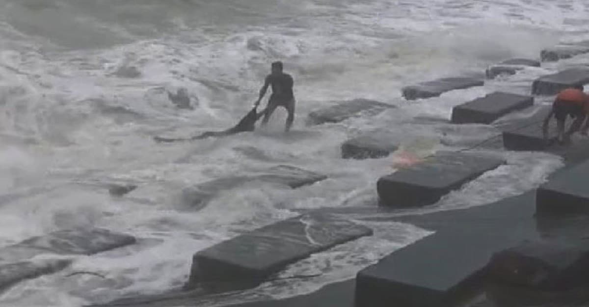 যে ভুলে মায়ের সামনেই সমুদ্রে তলিয়ে গেল ছেলে