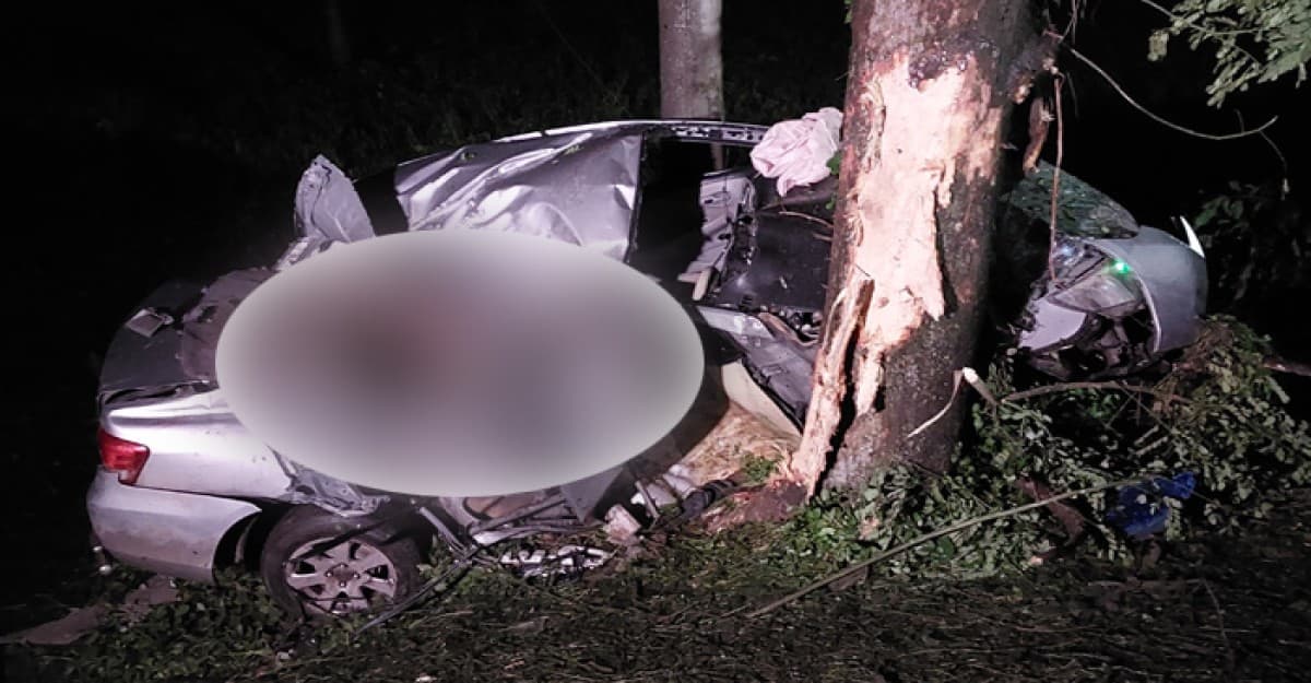 পাবনায় প্রাইভেটকার নিয়ন্ত্রণে হারিয়ে নিহত ৫