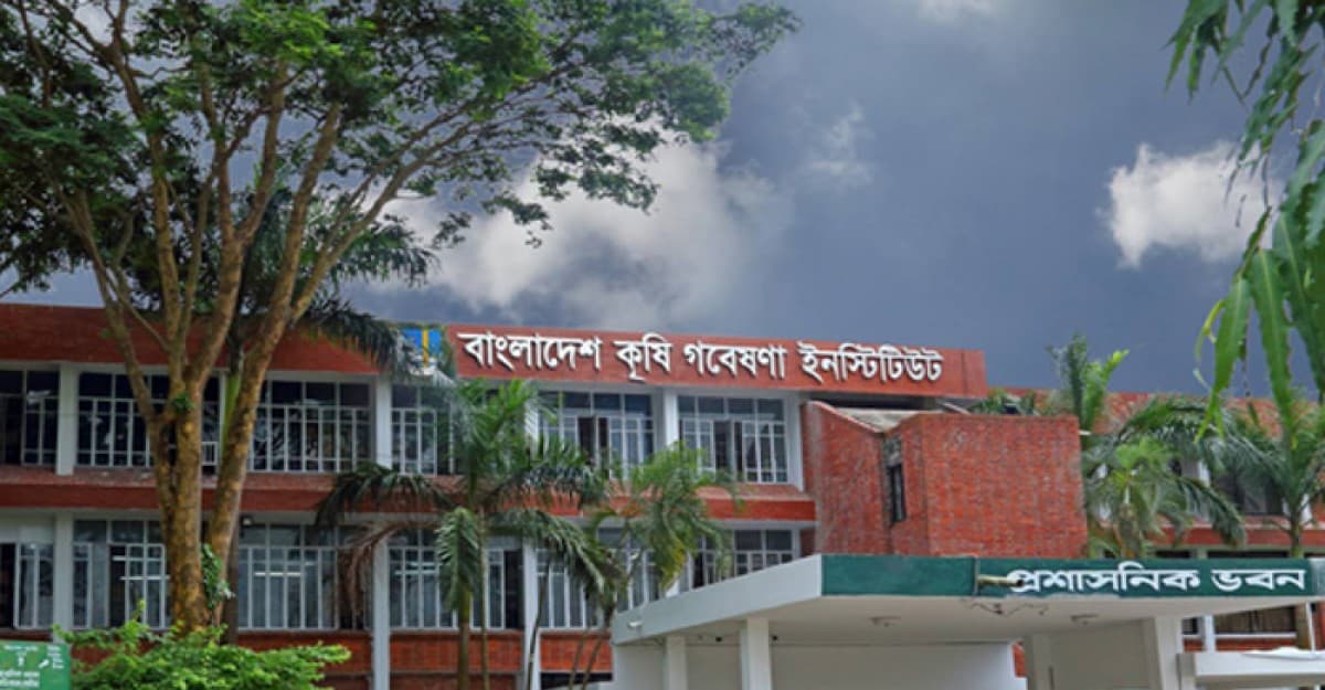 বারিতে ‘প্রোগ্রামভিত্তিক গবেষণা কার্যক্রম গ্রহণ’ বিষয়ক কর্মশালা অনুষ্ঠিত