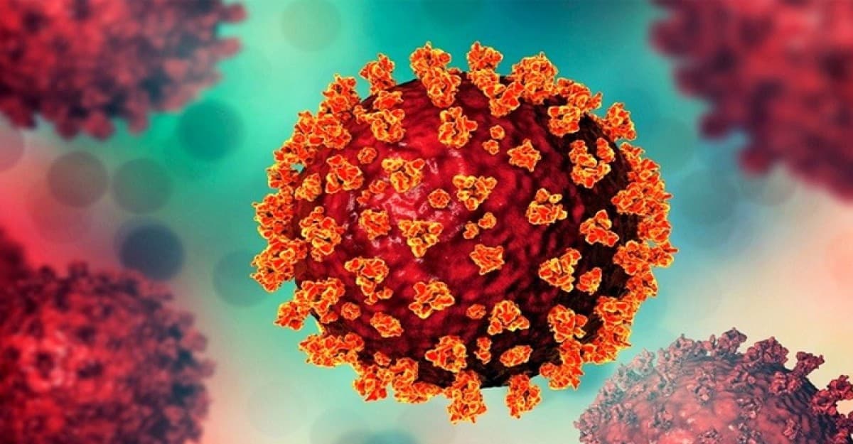 করোনা মহামারির ভয়ংকর রূপ তুলে ধরল বিশ্ব স্বাস্থ্য সংস্থা