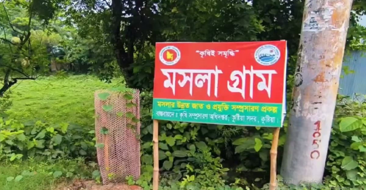 দেশের একমাত্র মসলা গ্রামে চাষ হচ্ছে ১৪ জাতের মসলা