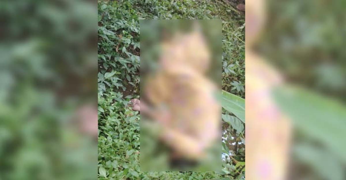 কুষ্টিয়ায় অজ্ঞাত নারীর মরদেহ উদ্ধার