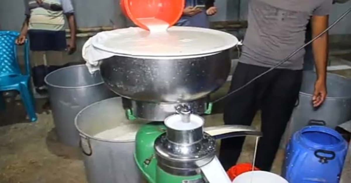 পাবনার খাঁটি দুধের ছানার চাহিদা দেশজুড়ে, প্রতিদিন কোটি টাকার বিক্রি
