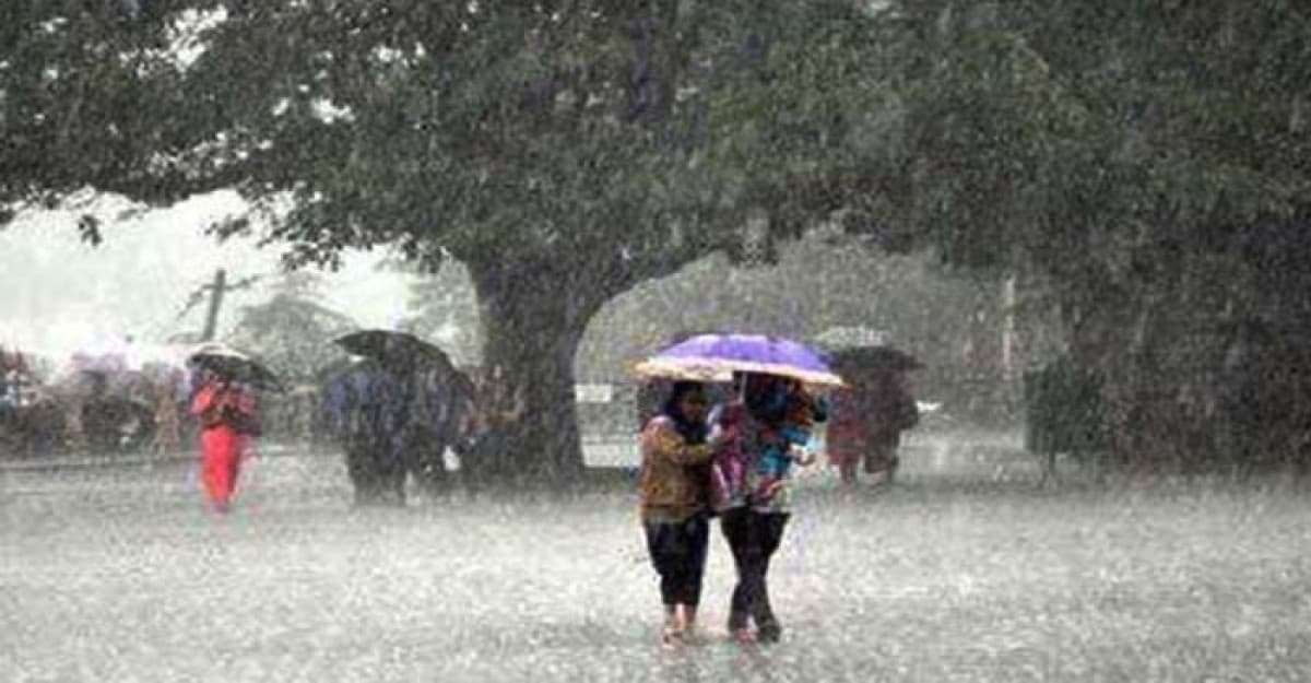 বৃষ্টি নিয়ে যা জানাল আবহাওয়া অফিস