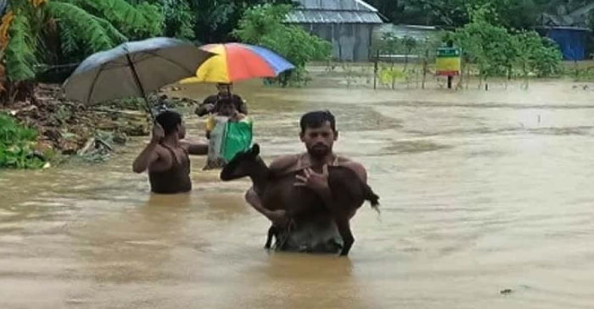 ভারীবর্ষণ-ভারত থেকে আসা ঢলে ভাসছে ১৩ জেলা