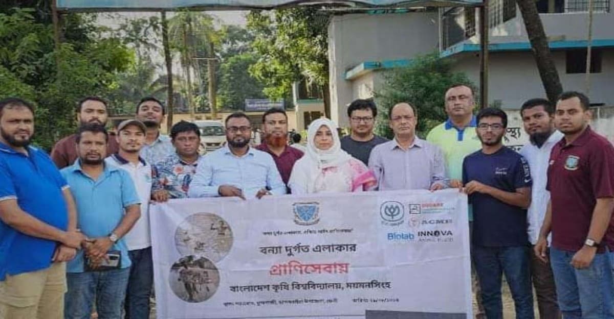 বন্যাদুর্গত এলাকায় ত্রাণ নিয়ে গবাদিপশুর পাশে বাকৃবি শিক্ষার্থীরা