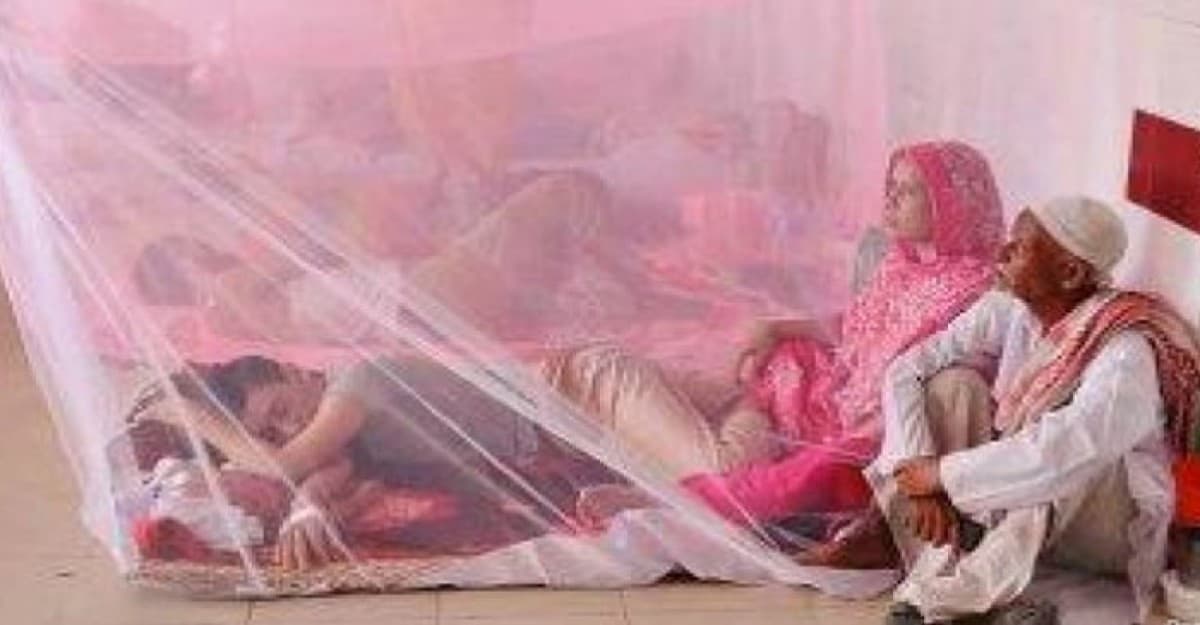 ডেঙ্গুতে এক দিনে ৪ প্রাণহানি