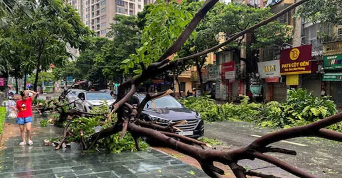 সুপার টাইফুন ইয়াগির আঘাতে ভিয়েতনামে ১৭৯ জনের প্রাণহানি