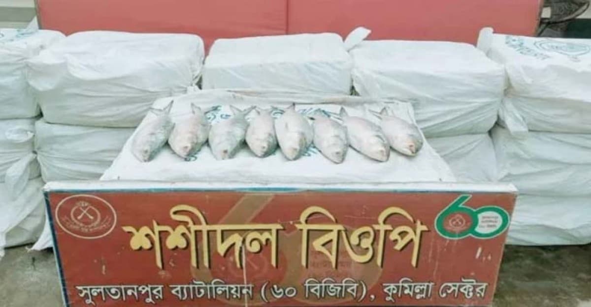 ভারতে পাচারকালে কুমিল্লা সীমান্তে ৪৪০ কেজি ইলিশ জব্দ