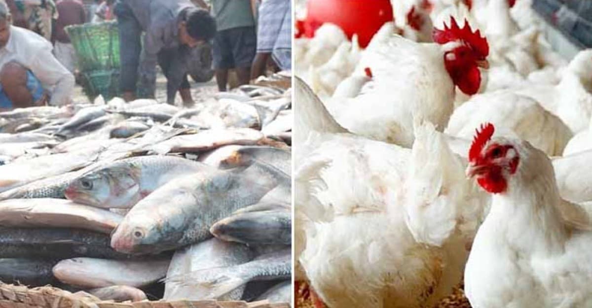 অস্বস্তি মাছ-মাংসের বাজারে, বিক্রেতাদের অজুহাত বন্যার