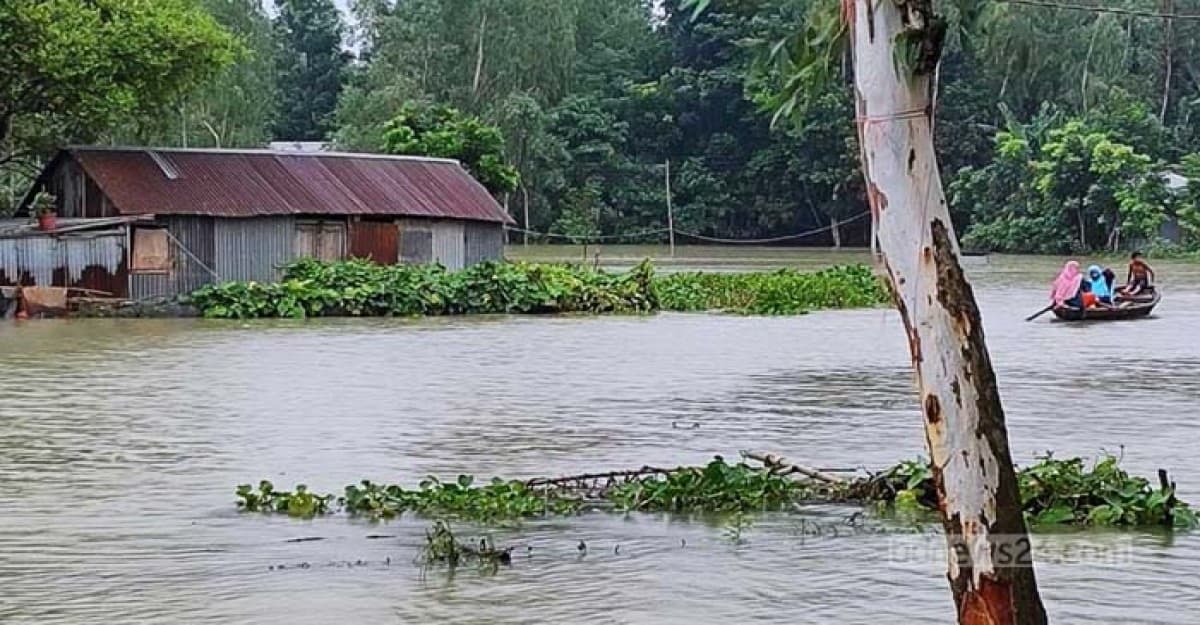 নোয়াখালীতে ভারী বর্ষণে আবারও বন্যা পরিস্থিতির অবনতি