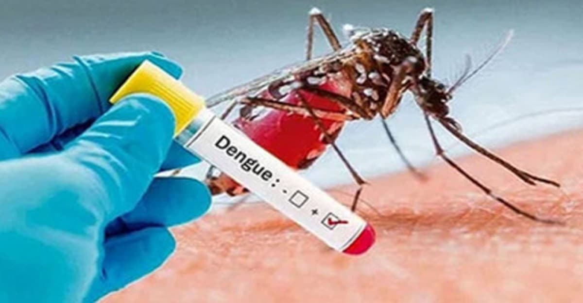 ডেঙ্গুতে আরও ৩ জনের প্রাণহানি