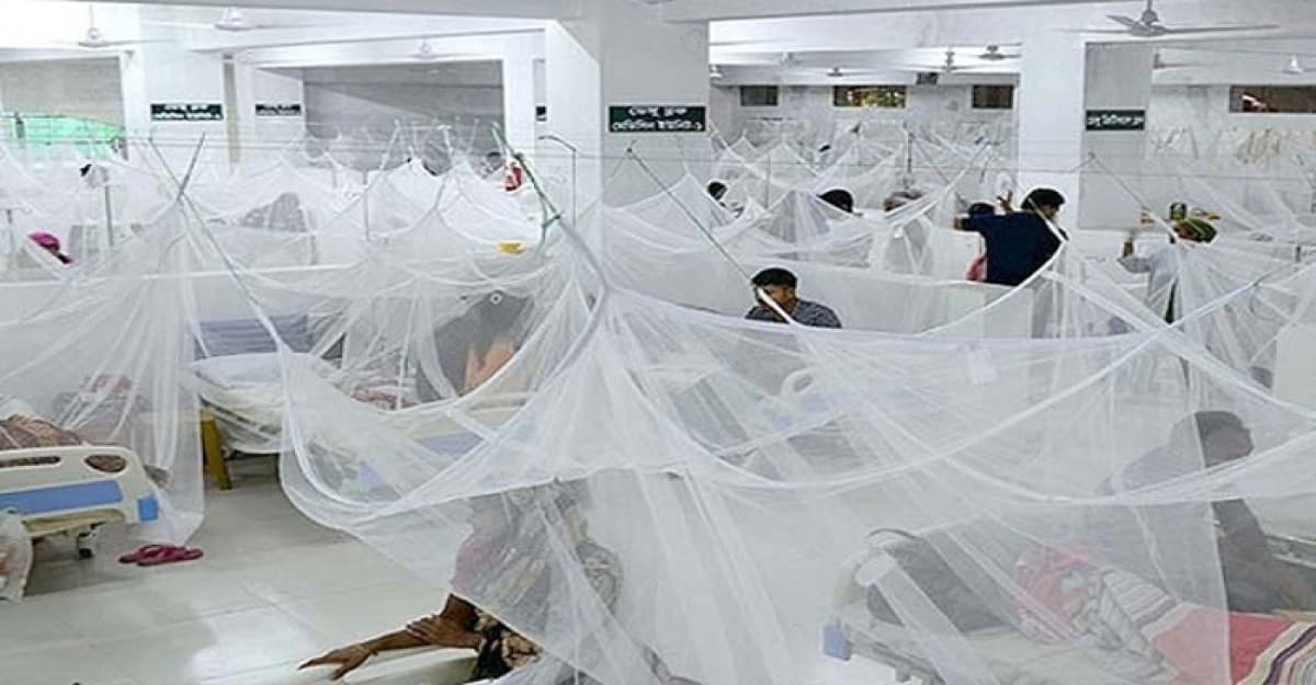 ডেঙ্গুতে আরও ৬ জনের প্রাণহানি, নতুন আক্রান্ত ৮৬৫